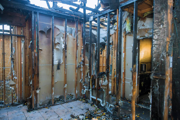 Professional Fire Damage Repair technician working in Alvarado, TX